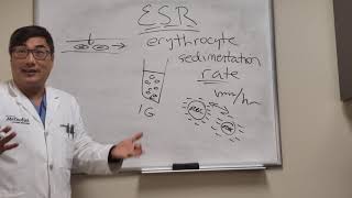 Erythrocyte Sedimentation Rate [upl. by Rebmik]