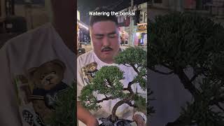 Watering the bonsai tiktok funny beatbox [upl. by Eramat]