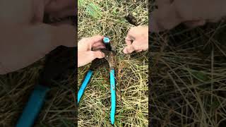 How to replace a sprinkler nozzle sprinklersystem protips landscaper [upl. by Acissej]