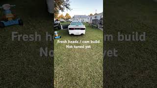 1998 ls1 Heads  Cam cold start untuned [upl. by Dunseath]