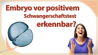 Einnistung vor positivem Schwangerschaftstest sichtbar  🤰🏻 Heidi Gößlinghoff [upl. by Sosthina]