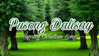 PUSONG DALISAY Karaoke Tagalog Christian Song [upl. by Yevrah]