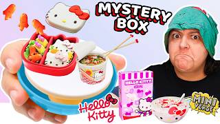 DISASTER OR AMAZING Hello Kitty Mini Food Mystery Box Miniverse Unbox [upl. by Ayo534]