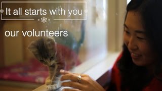 SF SPCA Holiday Windows Volunteer Greeting Video [upl. by Millda358]