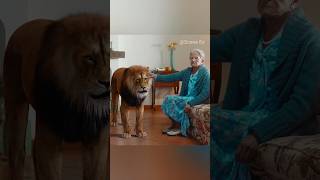 This family Torture Animals  Salvatore Ganacci  Horse shorts trending movie [upl. by Amathist]