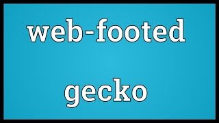 Webfooted gecko Meaning [upl. by Doughty155]