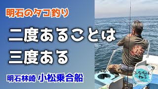 【明石タコ釣り】6月小潮回り（9日潮）6月29日～30日釣行記録 [upl. by Enalda]