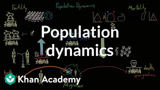 Population dynamics  Society and Culture  MCAT  Khan Academy [upl. by Adiasteb]