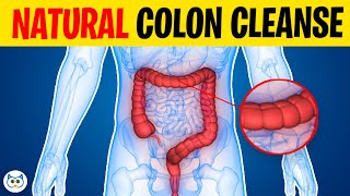 Top 11 Super Foods For A Natural Colon Cleanse [upl. by Ahel]