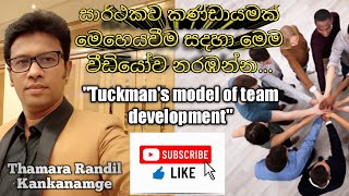 Tuckmans stages of group development  ටක්මන්ගේ කණ්ඩායම් සංවර්ධනයේ අදියරයන් [upl. by Ayouqat436]