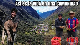 Así es la VIDA en las ZONAS más ALEJADOS del PERÚ  TAMBILLO [upl. by Yeoj]