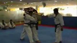 Hapkido Jin Jung Kwan dui dora chagui [upl. by Ahsad]