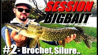 SESSION BIGBAIT 2  Silure et Gros Brochet  la Traque Continue [upl. by Vershen]