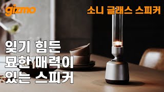 잊기 힘든 묘한 매력이 있네요 소니 글래스 스피커 리뷰 LSPXS3 [upl. by Reinnej]