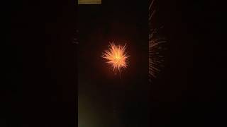 250 rupees to 1200 rupees Skyshot diwali shots firecracker viralvideo trending festival [upl. by Adonis]