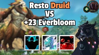 23 Everbloom Resto Druid PoV  Zmug [upl. by Kenrick]