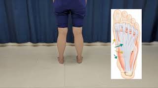 嘉薈醫療 療癒「微運動」系列—高效走路改善扁平足高足弓 Mindful Walking Improves foot arch problems中英文字幕 [upl. by Nace]