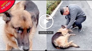 Former Police Dog Cries After Reuniting With Handler She Hasnt Seen For Years [upl. by Radmilla]