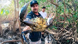 GIANT MUD CRAB Catch And Cook Camp Fire Rock Knife And Flint  Ep 90 [upl. by Gylys]