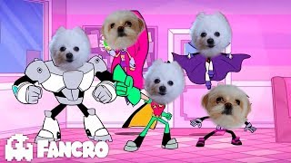 Teen Titans Intro  Cover Perros [upl. by Stu]