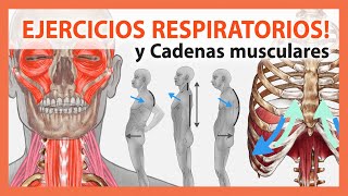 🛑 Alivia tu Dolor Mejorando tu Respiración 👉Desbloquea tus Cadenas Musculares Técnicas y Ejercicios [upl. by Marilee]