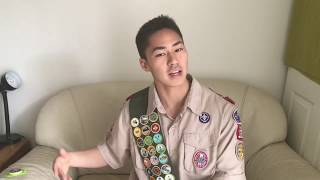 The 3 Easiest Merit Badges You Can Earn From Home TODAY [upl. by Giffer538]