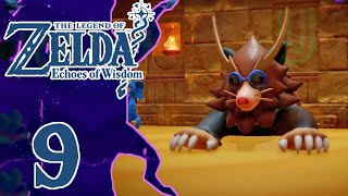 SACRARIO GERUDO  The Legend Of Zelda Echoes Of Wisdom ITA  Episodio 9 [upl. by Louie]