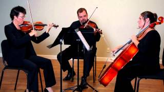 Wedding March from A Midsummer Nights Dream by Mendelssohn trio Musical Discovery Chamber Players [upl. by Benji]