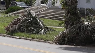 Los desechos siguen siendo un dolor de cabeza para residentes en el condado Volusia [upl. by Peony734]