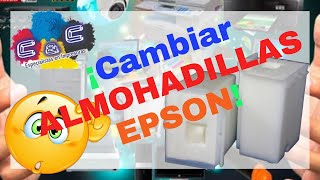 Como Cambiar ALMOHADILLAS Impresora Epson [upl. by Welles237]