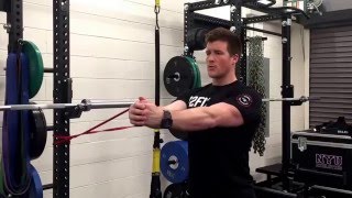 Pallof Press  Hold Core Strengthening Exercises [upl. by September24]