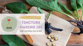 Tincture Making 101 Learn to Make a Fresh Plant Tincture of Comfrey Root Using Ratios [upl. by Lipcombe]