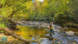 Fly Fishing for a Trout you have to see to believe Fall Trout Fishing [upl. by Attaynik808]