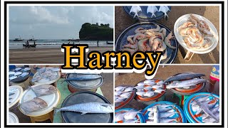 Harney beach harneybeach dapoli  Maharashtra konkanitravelingandrecipes4 [upl. by Greenwood]