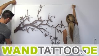 Wandtattoo Ast mit Vogelkäfig anbringen [upl. by Yejus]