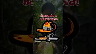 Aprenda a Sobreviver  Learn to Survive camping bushcraft outdoors survival forest [upl. by Garratt]