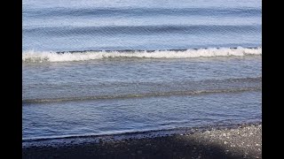 Qualicum Beach Park [upl. by Poppas]