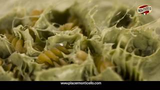 Salsa Monticello  Pesto Alla Genovese [upl. by Robins]