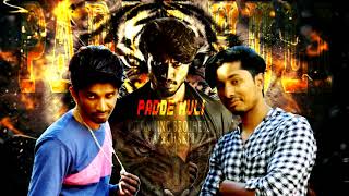 Padde Huli  Fun Made Song Stunning Brothers  Title Track  Dj Kannada Song  Teaser Song [upl. by Naitsirc]