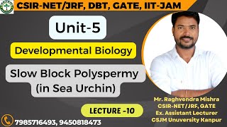 SlowBlockPolyspermy seaurchin developmentalbiology  L10 𝐆𝐞𝐧𝐞𝐬𝐢𝐬 𝐈𝐧𝐬𝐭𝐢𝐭𝐮𝐭𝐞 𝐨𝐟 𝐋𝐢𝐟𝐞 𝐒𝐜𝐢𝐞𝐧𝐜𝐞𝐬 [upl. by Ranie]