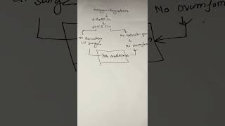 How to work Oral Contraceptive pill anatomy biology cerebellumacademy medstudent education [upl. by Marka]