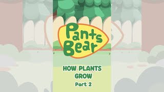 Basic needs of plants  Part of plants for kids Part 2  Roots stem leaf fruit flower  Shorts [upl. by Nnylyrehc]