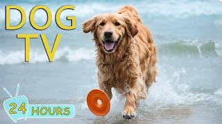 DOG TV The Best Video Entertainment to Keep Your Dog Calm amp Happy When Home Alone  Music for Dog [upl. by Droflim678]