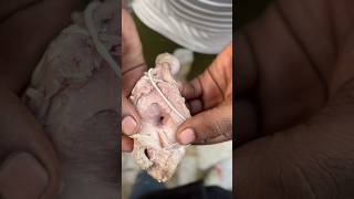 Goats tongue tawayoutubeshorts shorts viralvideo trending goat food [upl. by Redienhcs]