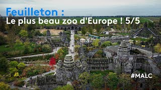 Feuilleton  Le plus beau zoo dEurope 55 [upl. by Clo]