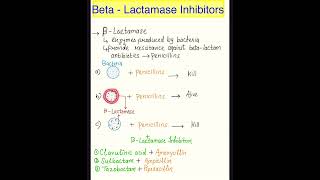 amoxycillin and potassium clavulanate tabletspharmacy pharma bacteria amoxycillin antibiotics [upl. by Loveridge]