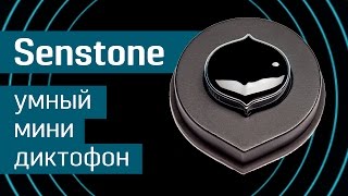 Умный минидиктофон Senstone преврати идеи в записи  диктофон мини для записи речи  Kickstarter [upl. by Bordy]