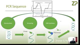 Electrochemical biosensors for DNA detection [upl. by Mccartan459]