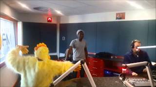 Siesta on OFM  Emo Adams vs Chicken [upl. by Hserus]