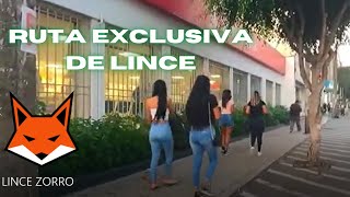 INCURSION CHONGUERA POR LINCE – AV AREQUIPA [upl. by Chane306]